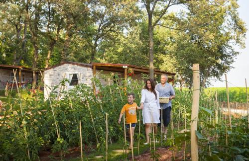 Aminess Maravea Camping Resort - Holiday Home Istrian Premium Village - Photo 6