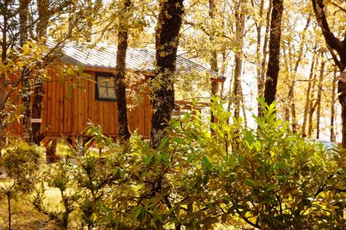 Camping LA TRUFFIERE à Saint Cirq Lapopie - CABANE DELUXE DUO SUR PILOTIS VUE PANORAMIQUE - Photo 9