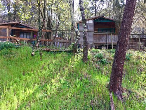 Camping La Corconne - Chalet Érable et Pêcher - 2 bedrooms - Photo 5