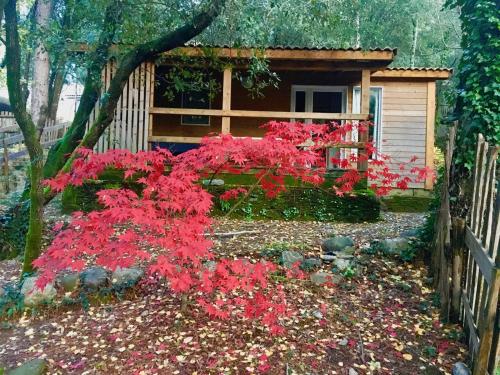 Camping La Corconne - Chalet Sapin et Genêt - 2 bedrooms - Photo 1