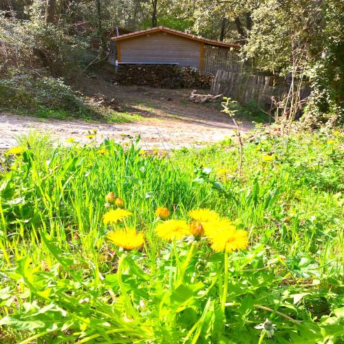 Camping La Corconne - Chalet Sapin et Genêt - 2 bedrooms - Photo 2