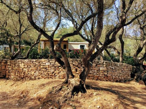 Campo di Liccia - Mobile-home air-conditioned 3 bedrooms - Photo 3