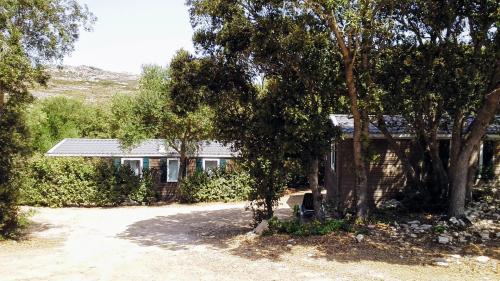Campo di Liccia - Mobile-home Maquis air-conditioned 3 bedrooms - Photo 3