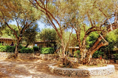 Campo di Liccia - Chalet air-conditioned 2 bedrooms - Photo 1