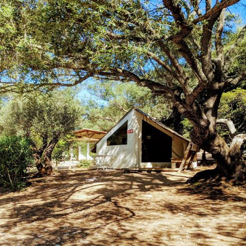 Campo di Liccia - Canvas bungalow - Photo 3