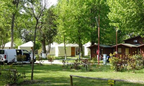 Camping Rialto - Mini-chalet - Photo 4