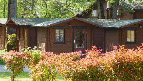 Camping Rialto - Mini-chalet - Photo 3