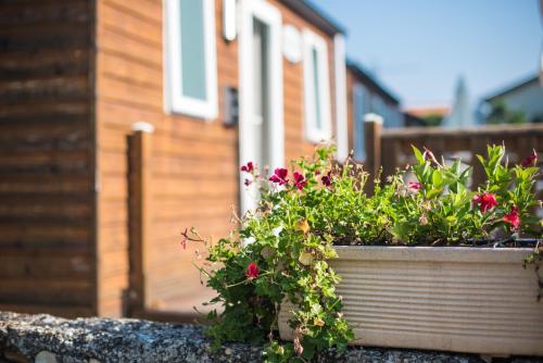Camping des Barolles - Mobile-home 1 bedroom - Photo 7