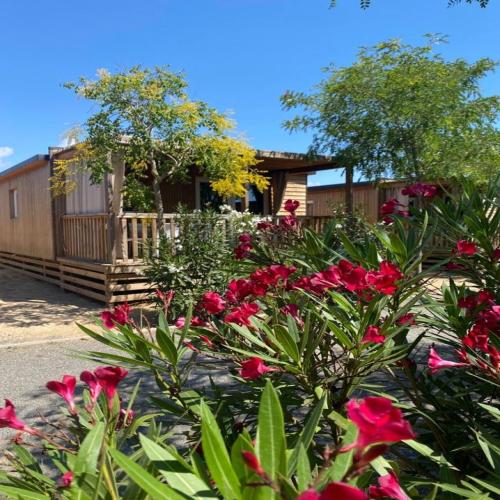 Camping Resort Els Pins - Mobile home Plus 2 AC - Photo 10