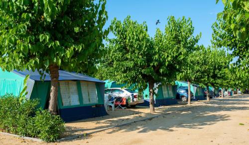Camping Resort Els Pins - Canvas bungalow - Photo 5