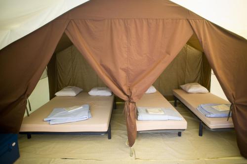 Camping de l'Ill - Colmar - Classic IV Wood & Canvas tent - Photo 3
