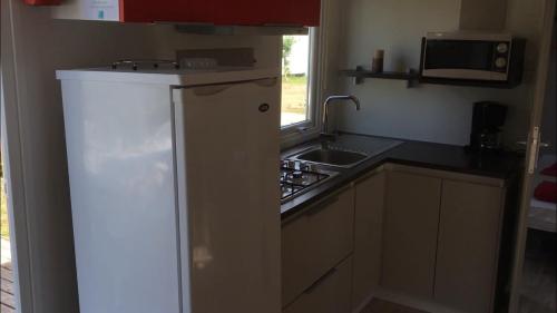 Campilô - CONFORT+ Mobile home 3 bedrooms 30m² + terrace - Photo 5