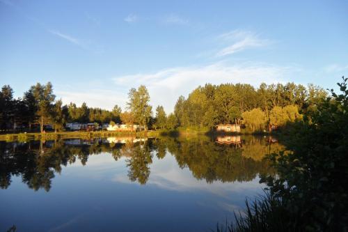 Campilô - CHALET PREMIUM 2 bedrooms 35m² + terrace - Photo 4