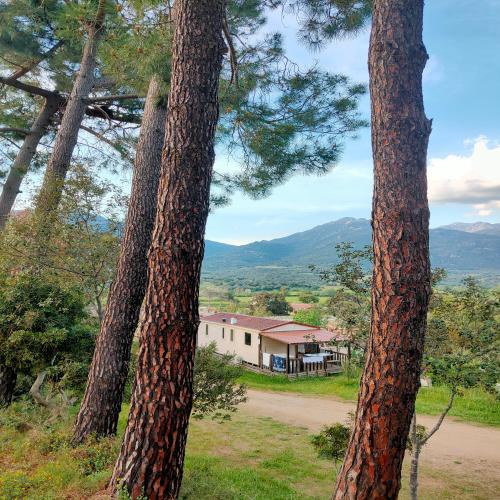 Camping Tikiti - Mobile-home IRM 24.5m² / 2 bedrooms - Saturday & shorts stays - Photo 9