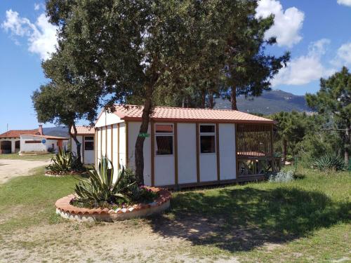 Camping Tikiti - Chalet gitotel club 25 m² / 2 Zimmer - Terrasse - Wednesday - Photo 3