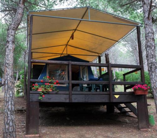 Amfibie Treks - Lodge Tent with Full board - Photo 1