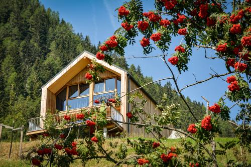 Campingplatz HOCHoben - Chalet Small - Photo 10
