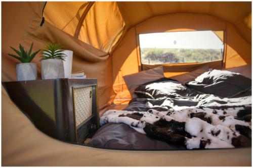 Camping La Clairière - Adventure Tent - Photo 2