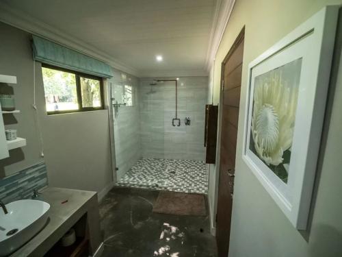 Mountain Splendour Eco-Resort - Luxury Glamping tent - Photo 4