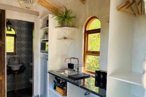 Treedom Villas & Vardos - The Owl Vardo - Photo 5
