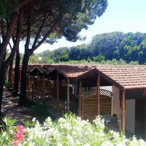 Camping Serenella - Chalet - Photo 1