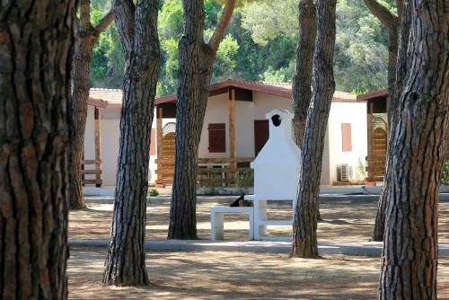 Camping Serenella - Chalet - Photo 5
