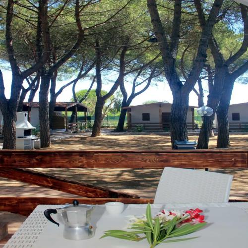 Camping Serenella - Chalet - Photo 7