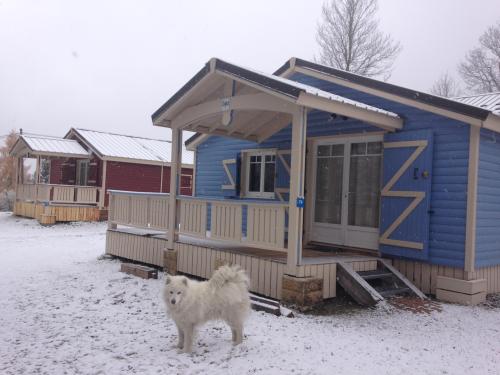Camping Les Lanchettes - Chalet Bellecote 35m² 2 bedrooms + terrace 12m² - Photo 10