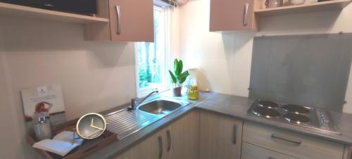 Camping du Lac de Saint-Pardoux - Mobile home Super Mercure Famille - Photo 2