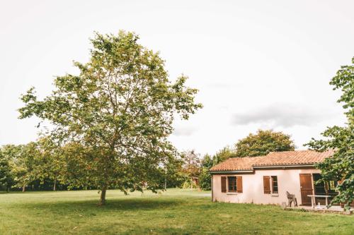 Moncontour Active Park - Terres de France - Cottage 70 m² 6 people - Photo 9