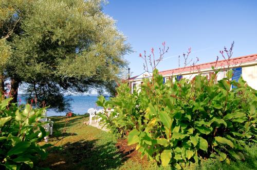 INTERNATIONAL GLAMPING LAGO DI BRACCIANO - Mobilhome Relax - Photo 4