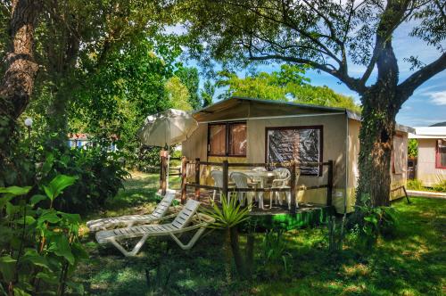INTERNATIONAL GLAMPING LAGO DI BRACCIANO - Lodgetent Deluxe - Photo 1
