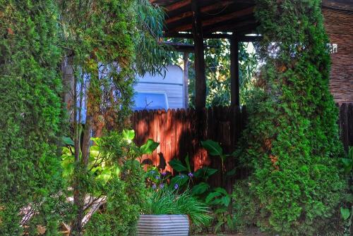 INTERNATIONAL GLAMPING LAGO DI BRACCIANO - Caravan patio - Photo 6