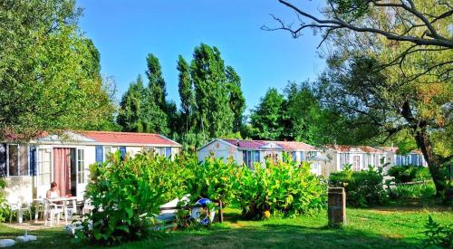 INTERNATIONAL GLAMPING LAGO DI BRACCIANO - Mobil Home Comfort Sport 24mq - Photo 9