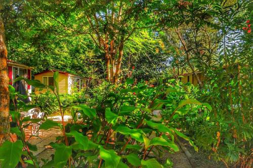 INTERNATIONAL GLAMPING LAGO DI BRACCIANO - Mobil Home Comfort Sport 24mq - Photo 10