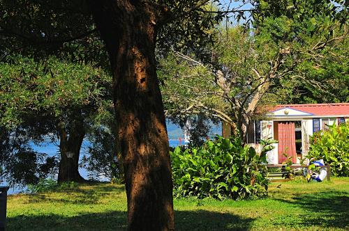 INTERNATIONAL GLAMPING LAGO DI BRACCIANO - Mobil Home Comfort Sport 24mq - Photo 3