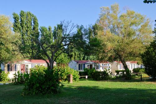INTERNATIONAL GLAMPING LAGO DI BRACCIANO - Mobil Home Comfort Sport 24mq - Photo 6