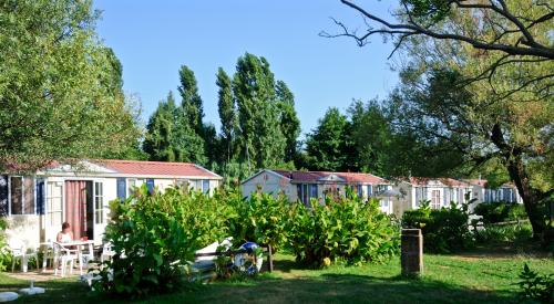 INTERNATIONAL GLAMPING LAGO DI BRACCIANO - Mobil Home Comfort Sport 24mq - Photo 7
