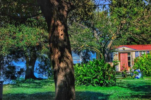 INTERNATIONAL GLAMPING LAGO DI BRACCIANO - Mobilhome-Lake view PREMIUM - Photo 2