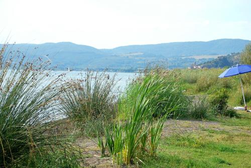 INTERNATIONAL GLAMPING LAGO DI BRACCIANO - Mobilhome-Lake view PREMIUM - Photo 6