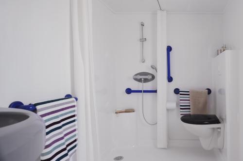 Flower Camping les Genêts - Mobile home Hélios Confort + 32m² wheelchair friendly (2 bedrooms) + terrace - Photo 5