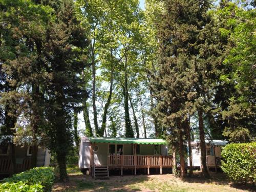 Camping Nostradamus - Mobil home 3 Bedrooms - Photo 4