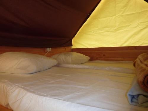 Base de Loisirs Cormoranche - Bivouac tent pitched - Photo 4