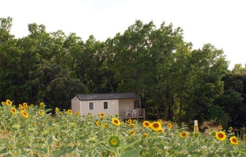 Domaine du Petit Arlane - Mobilhome (2 bedrooms) - Photo 1