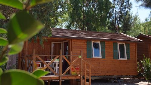 Camping Les Palmiers - GEORGIA - Photo 1