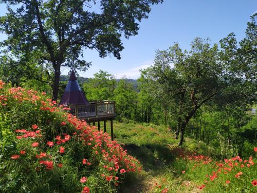 Camping du Domaine de Senaud - Suspended tent - Photo 7