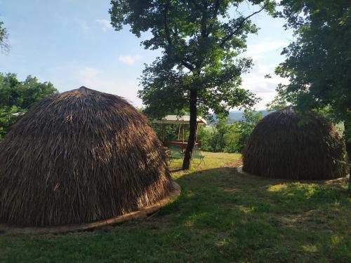 Camping du Domaine de Senaud - Case ZULU - Photo 2