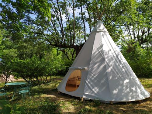 Camping du Domaine de Senaud - Indian teepee - Photo 7