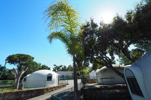 Camping Rais Gerbi - Bungalow/ Igloo 25 mq with air-conditioning and bathroom - Photo 1