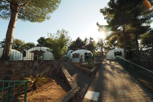 Camping Rais Gerbi - Bungalow/ Igloo 25 mq with air-conditioning and bathroom - Photo 2